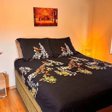 Zlata - Free Parking *