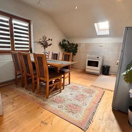 Zlata - Free Parking