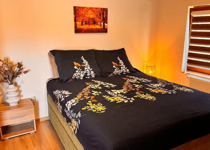 Zlata - Free Parking *