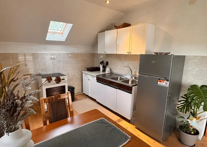 公寓 Zlata - Free Parking