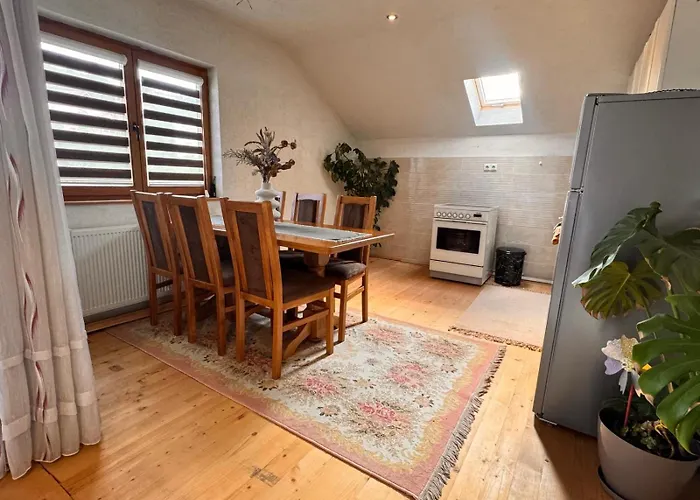 Zlata - Free Parking