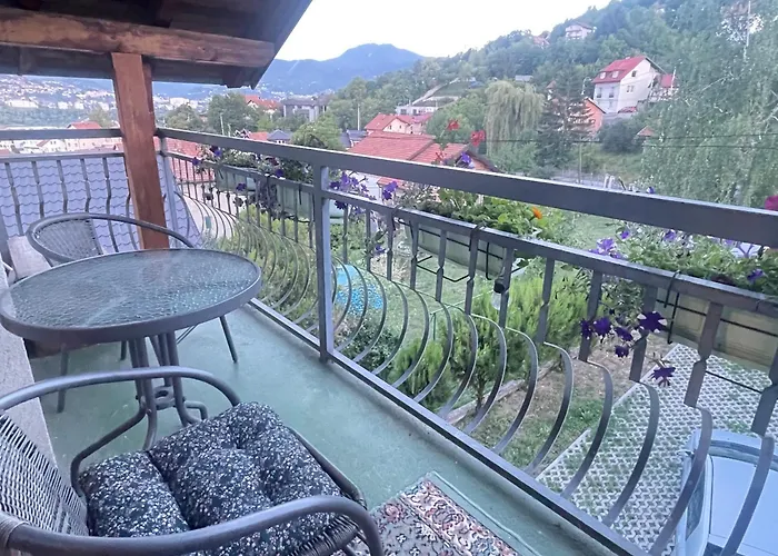 Zlata - Free Parking *